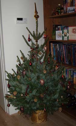 kerstboom