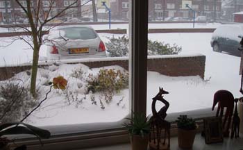 Winters uitzicht van ondergesneeuwde voortuin