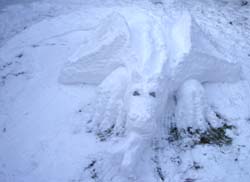 sneeuwdraak voorkant