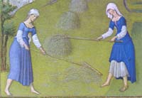 Très Riches Heures du Duc de Berry - Juni