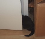 Ik zie ik zie wat jij niet ziet....