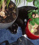 Wat? Ik lig hier prima...