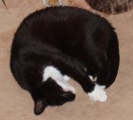 Ronk around the clock