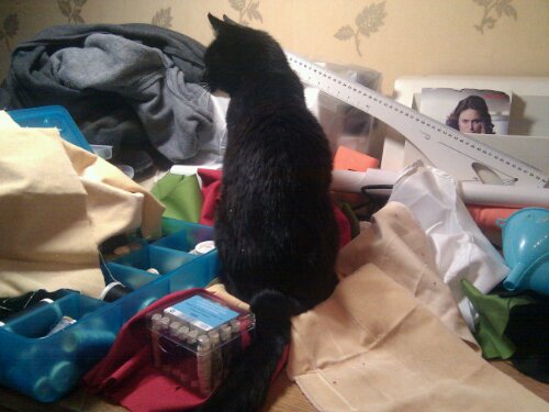 poes helpt