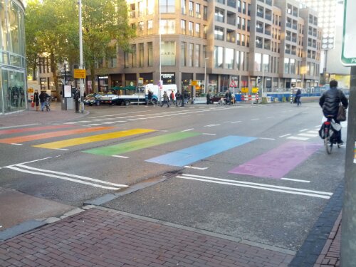 IMG_20131109_090135.jpg image