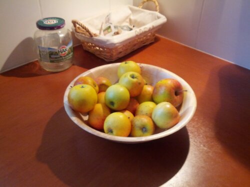 IMG_20131116_153157.jpg image