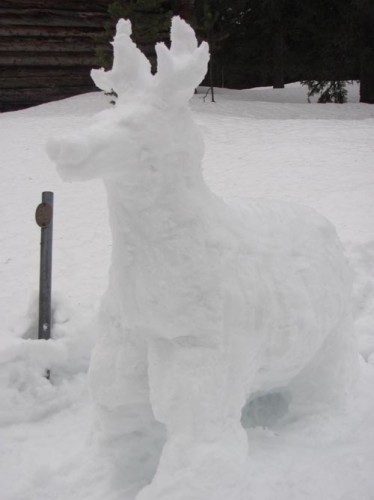 sneeuwrendier-staand