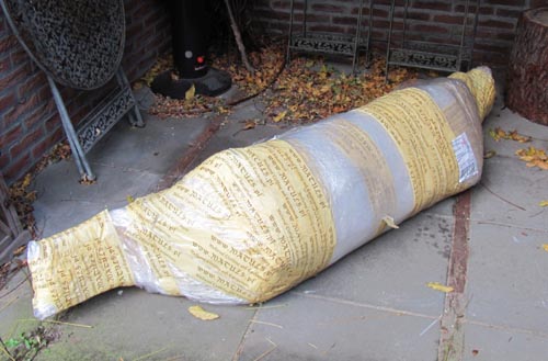mummie