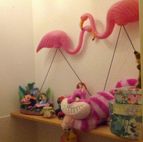 IMG_20150111_172239.JPG image