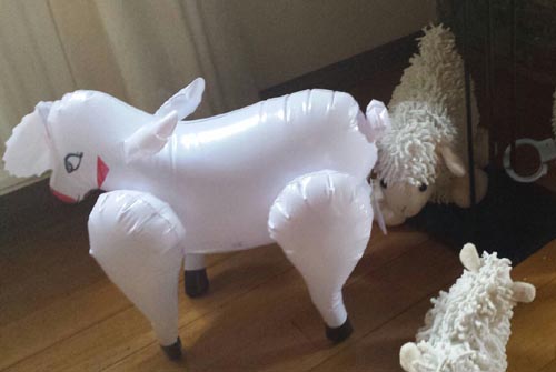 opblaasschaap