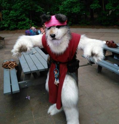 13240548_626578277494132_5153135822741901350_n