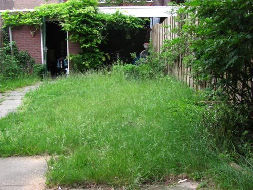 achtertuin-voor