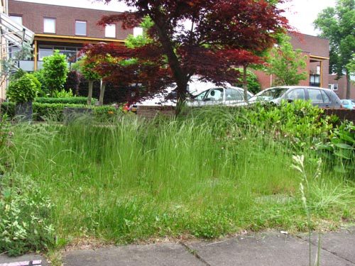 voortuin-voor