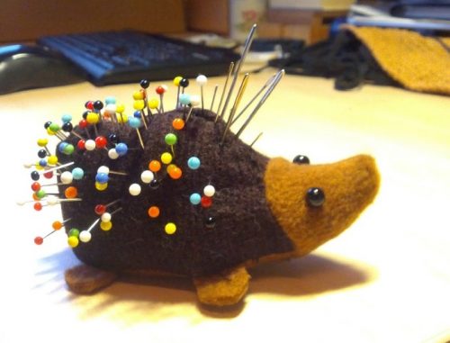 speldenkussen_egel