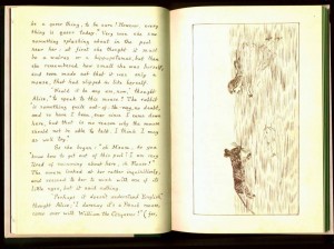 Alice's Adventures Under Ground - page 18 and 19