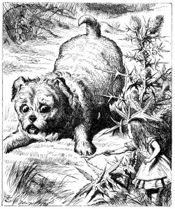 The puppy looking at Alice - Chapter 4