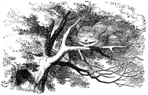 Cheshire-Cat disappearing - Chapter 6