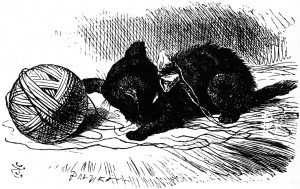 Kitty playing with a ball of worsted - Chapter 1