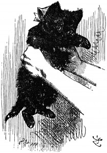 Alice shaking Kitty - Chapter 11