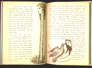 Alice's Adventures Under Ground - page 62 and 63