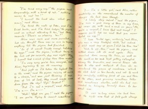 Alice's Adventures Under Ground - page 64 and 65