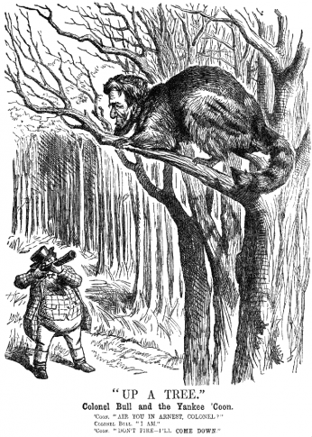 "Up a Tree" by John Tenniel, 1862